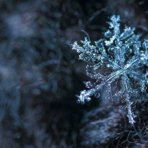 Snowflakes’ Picturesque Beauty
